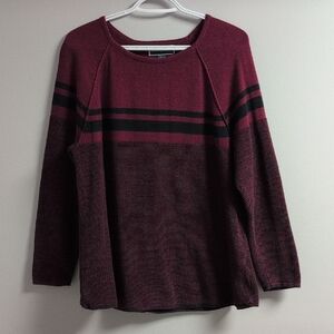 💜2/$20💜 Karen Scott Women's Size Large Maroon Colourblocked Crew Neck Pullover